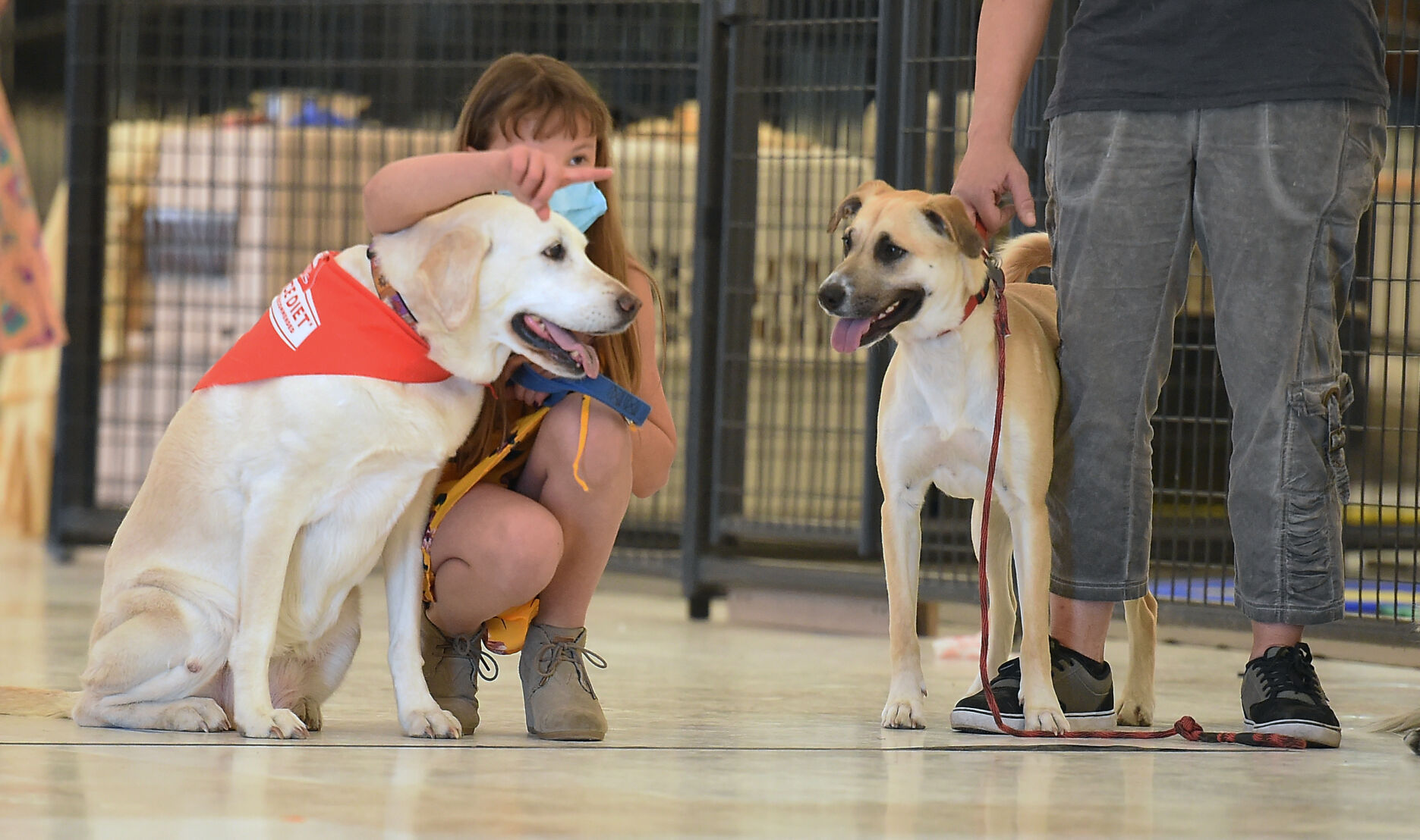 042521-news-pets 05.JPG
